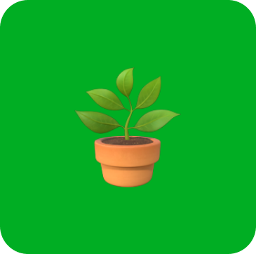 Illustration d’une plante verte dans un pot en terre cuite, sur fond vert.